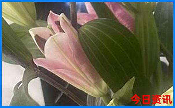 www.0149330.cσm查询快开奖